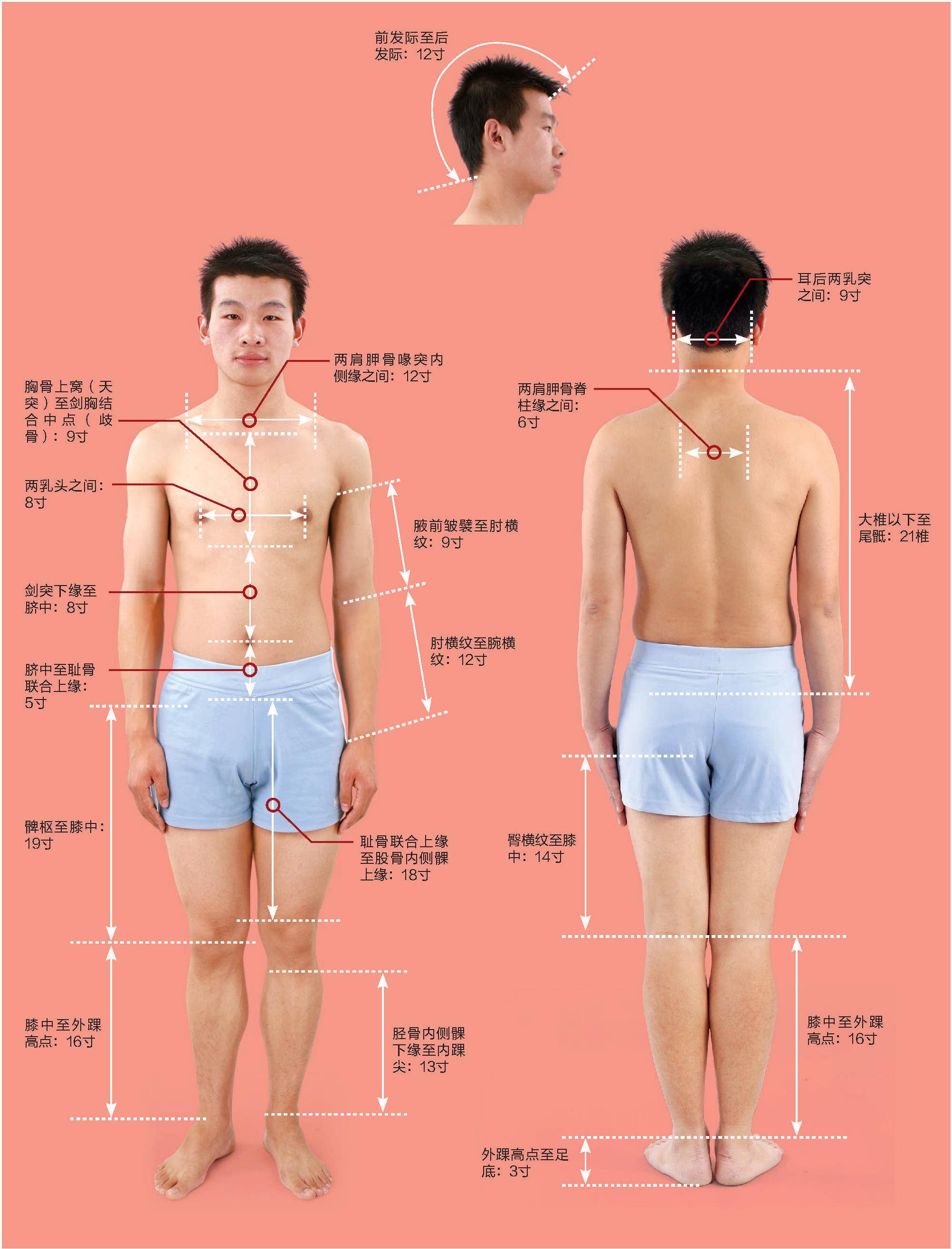 常見定位取穴方法